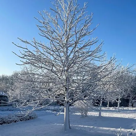 Vendégház D'hotes Un Brin Nature